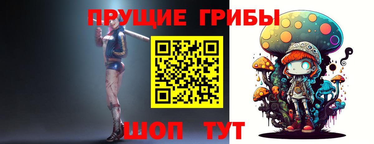 Галлюциногенные грибы Psilocybe Тавда