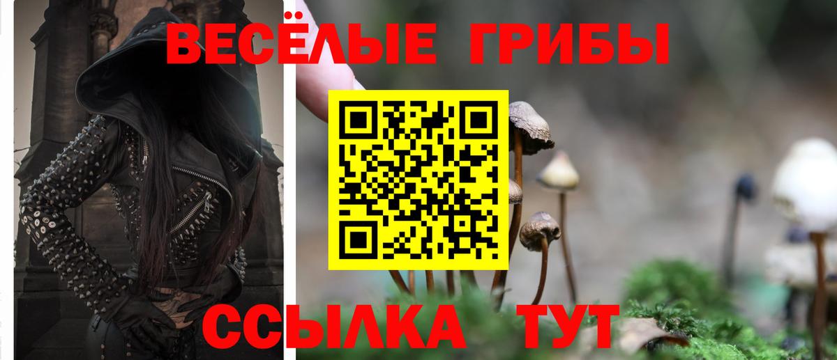 Галлюциногенные грибы Psilocybe  Вход с VPN  Тавда  Галлюциногенные грибы Psilocybine cubensis 